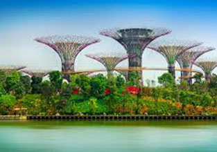 Gardens_by_the_Bay