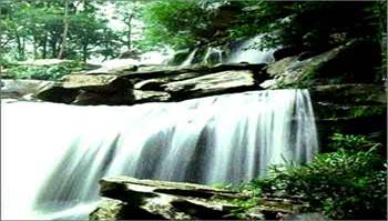 Namtok_Than_Ngam_Forest_Park