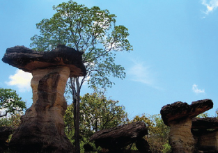 Pha_Taem_National_Park